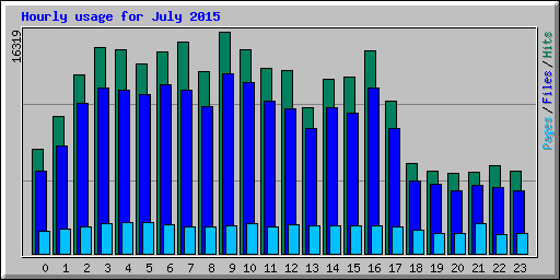 Hourly usage for July 2015