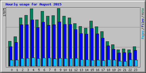 Hourly usage for August 2015
