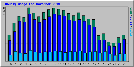 Hourly usage for November 2015