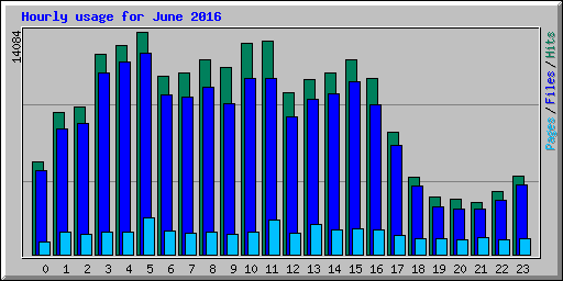 Hourly usage for June 2016