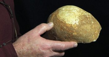 55,000-Year-Old Skull Discovered in Western Galilee Cave The skull. (Clara Amit/ Israel Antiquities Authority)